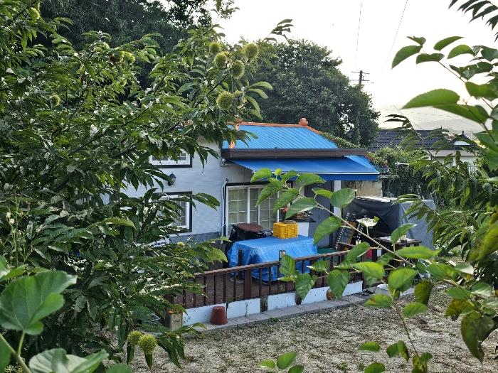 인천광역시 강화군 양도면 도장리 716 전 경매 사진 14