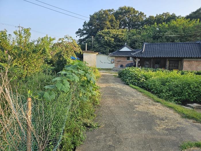 인천광역시 강화군 송해면 솔정리 275-3 전 경매 사진 16