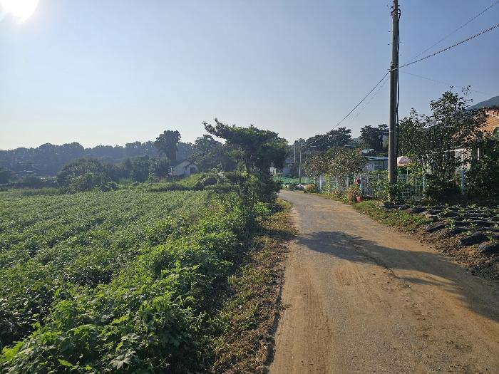 인천광역시 강화군 송해면 솔정리 275-3 전 경매 사진 3