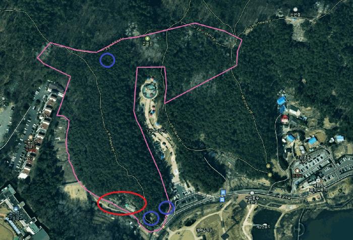 울산광역시 남구 선암동 산134-1 임야 경매 사진 11
