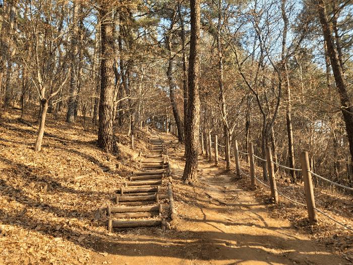 울산광역시 남구 선암동 산134-1 임야 경매 사진 14