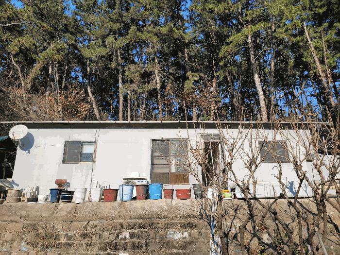 울산광역시 남구 선암동 산134-1 임야 경매 사진 16