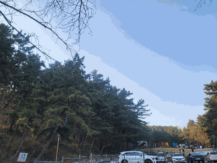 울산광역시 남구 선암동 산134-1 임야 경매 사진 20