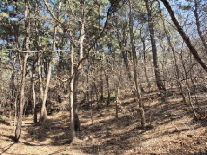 울산광역시 남구 선암동 산134-1 임야 경매 사진 21
