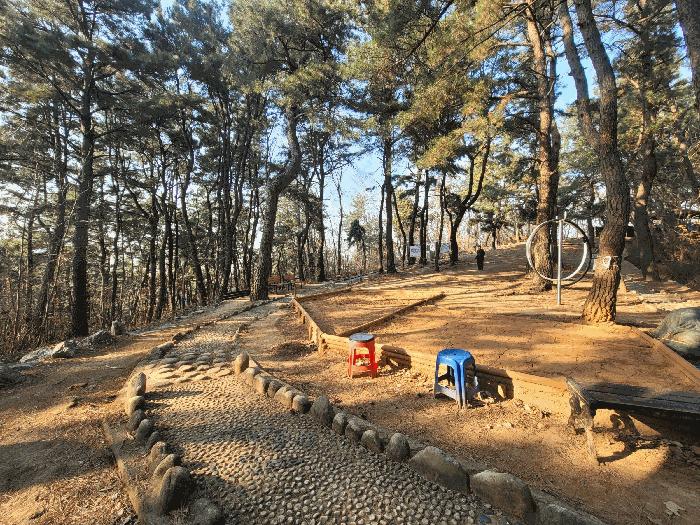 울산광역시 남구 선암동 산134-1 임야 경매 사진 4