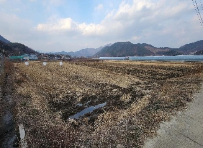 충청북도 영동군 매곡면 노천리 412-5 답 경매 사진 12
