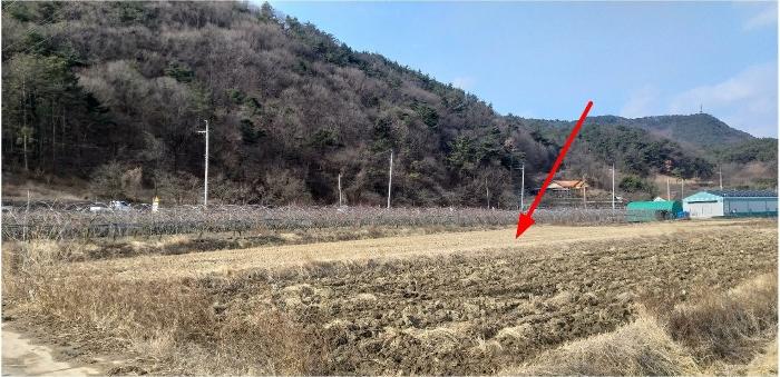 충청북도 영동군 매곡면 노천리 412-5 답 경매 사진 3