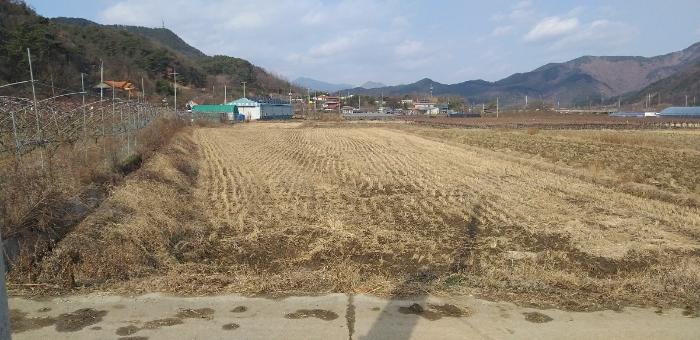 충청북도 영동군 매곡면 노천리 412-5 답 경매 사진 5