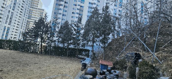 울산광역시 울주군 범서읍 천상리 569-6 주택 경매 사진 12
