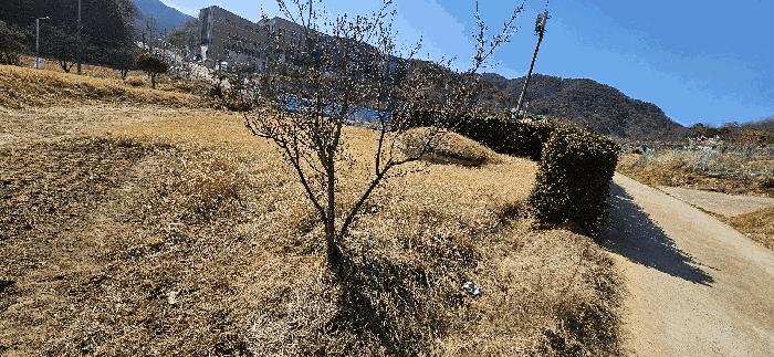 울산광역시 울주군 범서읍 천상리 569-6 주택 경매 사진 7