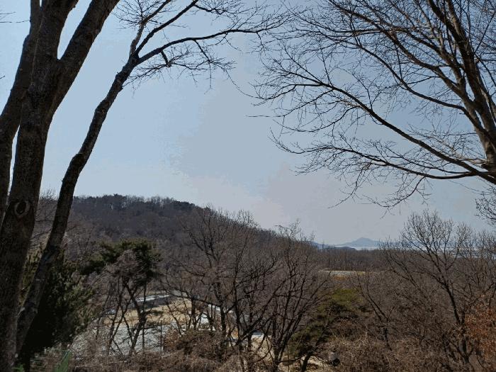 인천광역시 강화군 양사면 철산리 90-25 임야 경매 사진 2