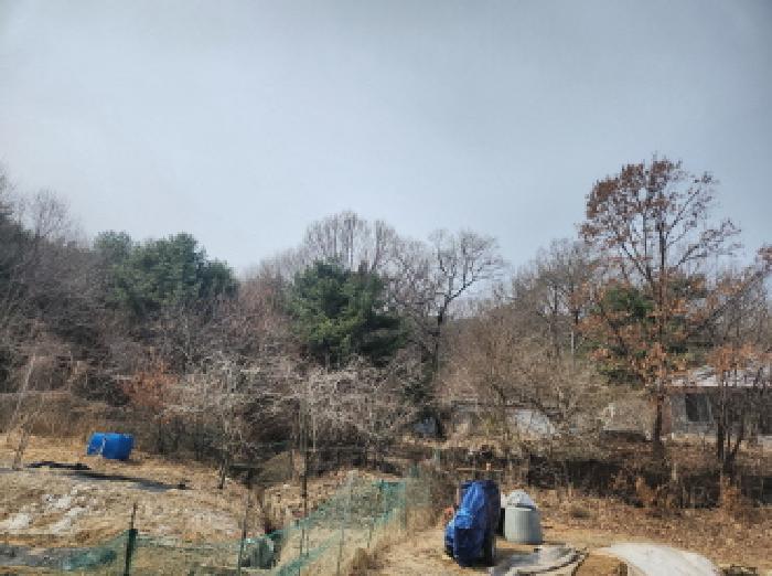 인천광역시 강화군 양사면 철산리 90-25 임야 경매 사진 3