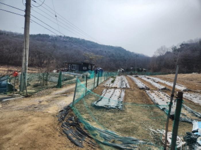 인천광역시 강화군 양사면 철산리 90-25 임야 경매 사진 6