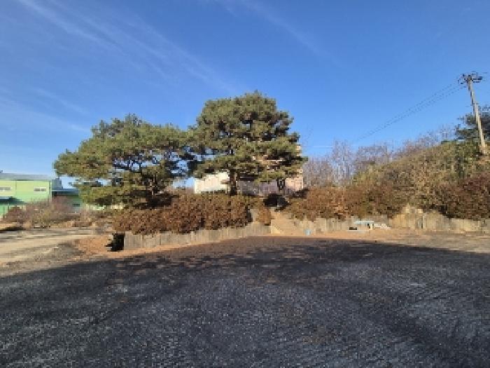 전라남도 곡성군 겸면 마전리 647 공장 경매 사진 7