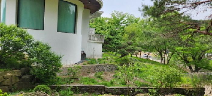 경기도 양주시 장흥면 삼상리 60-2 주택 경매 사진 13