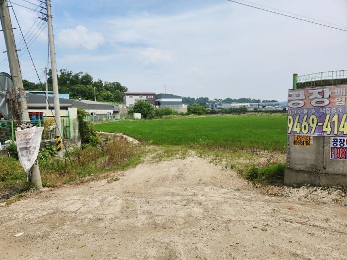 경기도 김포시 대곶면 대벽리 233 전 경매 사진 2