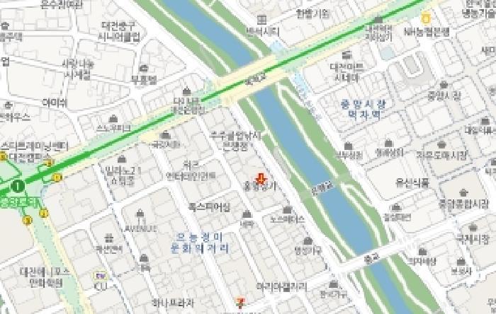 대전광역시 중구 은행동 65-3 더블유에스홍명상가 1층110호 근린상가 경매 사진 41