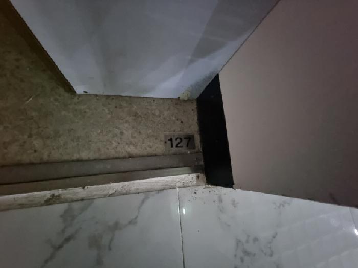 대전광역시 중구 은행동 65-3 더블유에스홍명상가 1층127호 근린상가 경매 사진 28