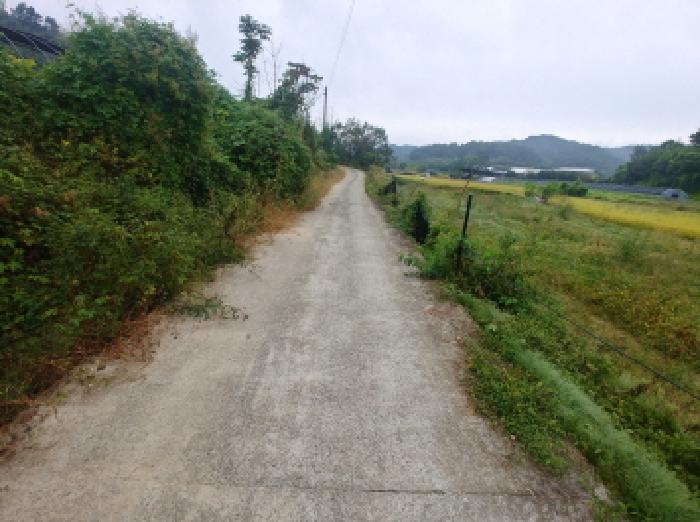 충청남도 금산군 제원면 금성리 52-1 전 경매 사진 17