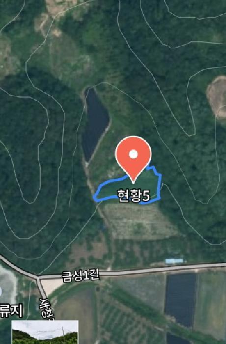 충청남도 금산군 제원면 금성리 52-1 전 경매 사진 21