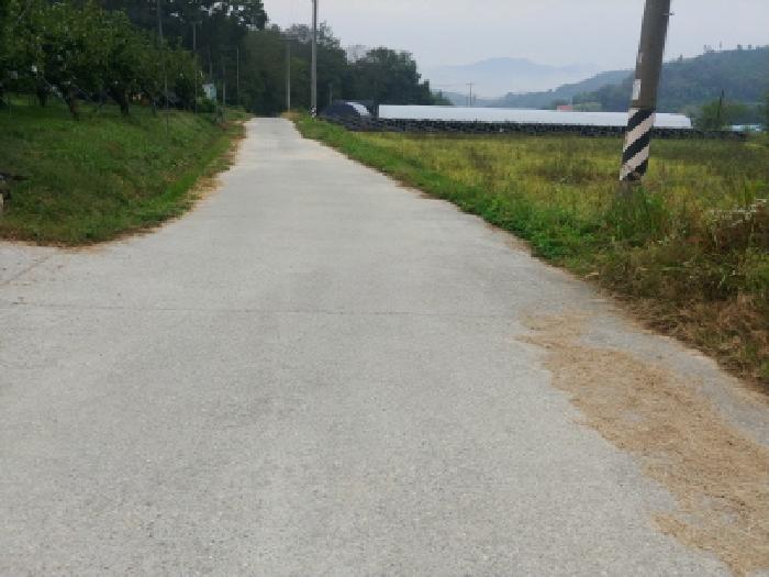 충청남도 금산군 제원면 금성리 52-1 전 경매 사진 22