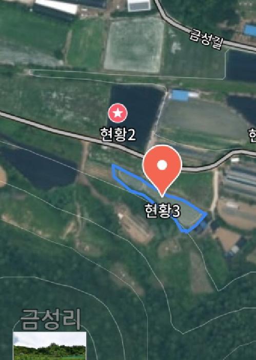 충청남도 금산군 제원면 금성리 52-1 전 경매 사진 29