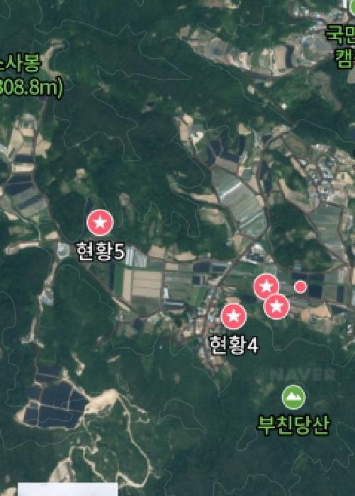 충청남도 금산군 제원면 금성리 52-1 전 경매 사진 35