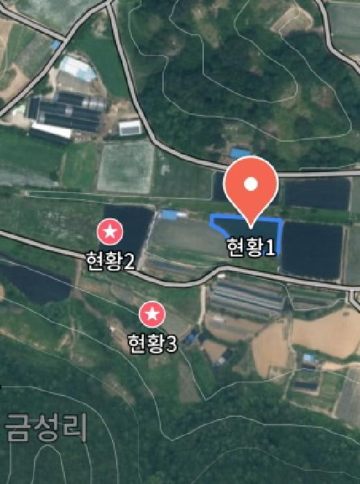 충청남도 금산군 제원면 금성리 52-1 전 경매 사진 36