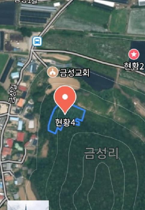 충청남도 금산군 제원면 금성리 52-1 전 경매 사진 37