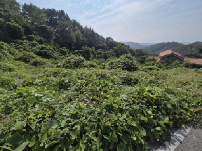 세종특별자치시 장군면 대교리 74-47 임야 경매 사진 10