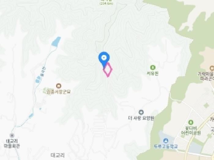 세종특별자치시 장군면 대교리 74-47 임야 경매 사진 17