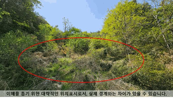 경상남도 창원시 마산회원구 내서읍 삼계리 1009 답 경매 사진 2