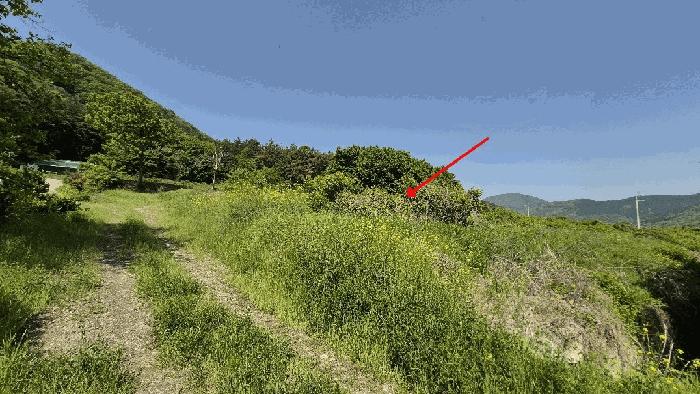 경상남도 창원시 마산합포구 진북면 이목리 363 전 경매 사진 3