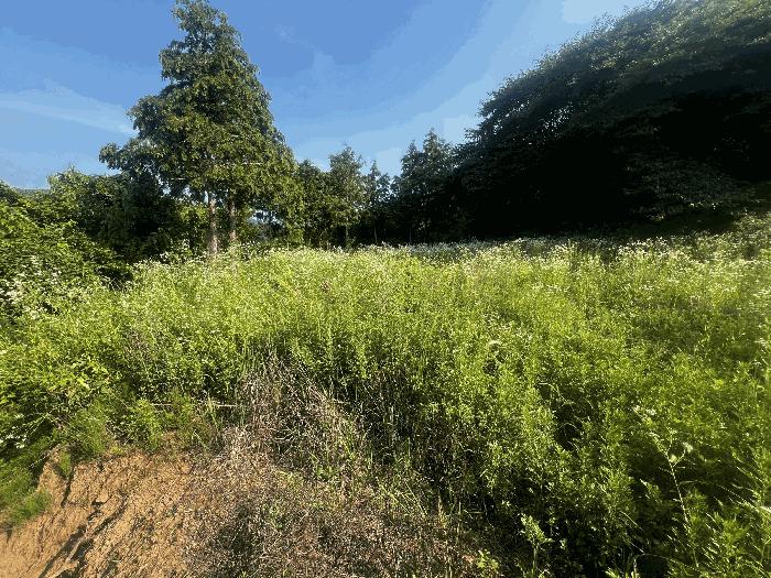 경상남도 창원시 마산합포구 구산면 수정리 941-2 전 경매 사진 2