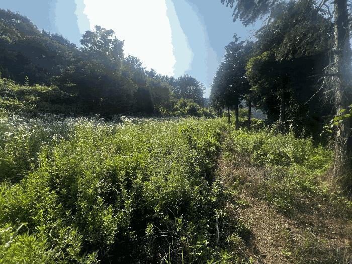 경상남도 창원시 마산합포구 구산면 수정리 941-2 전 경매 사진 3