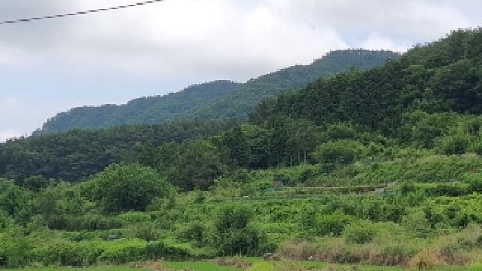 경상남도 창원시 마산합포구 구산면 수정리 941-2 전 경매 사진 4