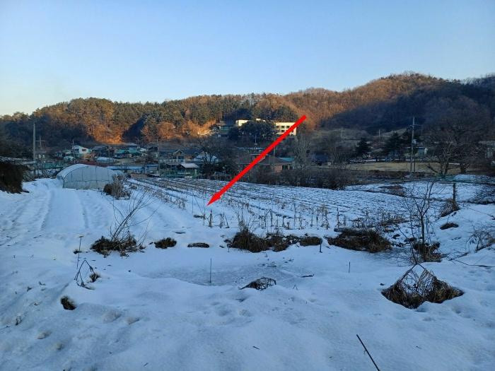 경기도 광주시 곤지암읍 봉현리 102-1 답 경매 사진 2