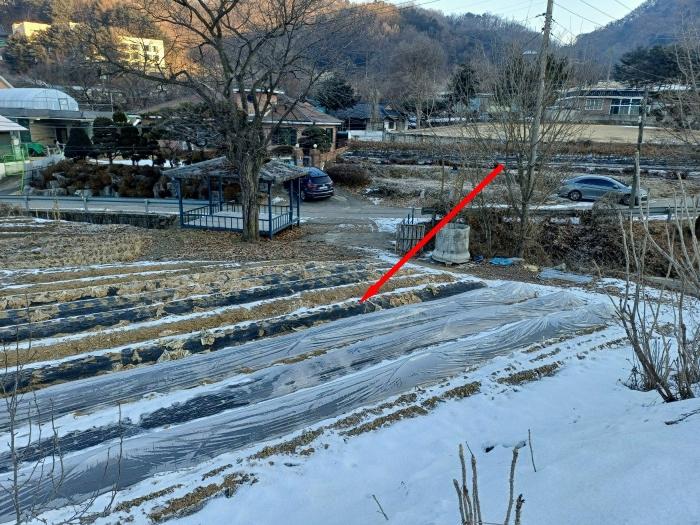 경기도 광주시 곤지암읍 봉현리 102-1 답 경매 사진 3