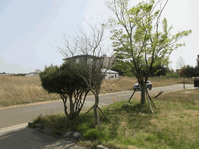 전라남도 나주시 빛가람동 900-109 주택 경매 사진 4