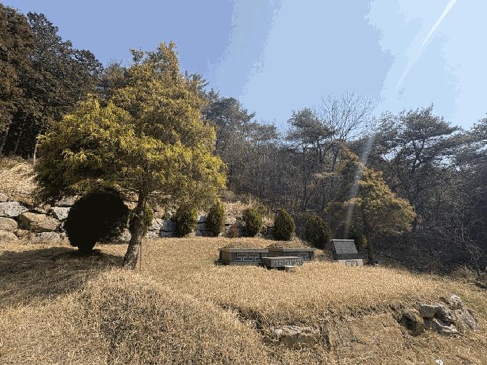 전라남도 곡성군 석곡면 연반리 307 답 경매 사진 5