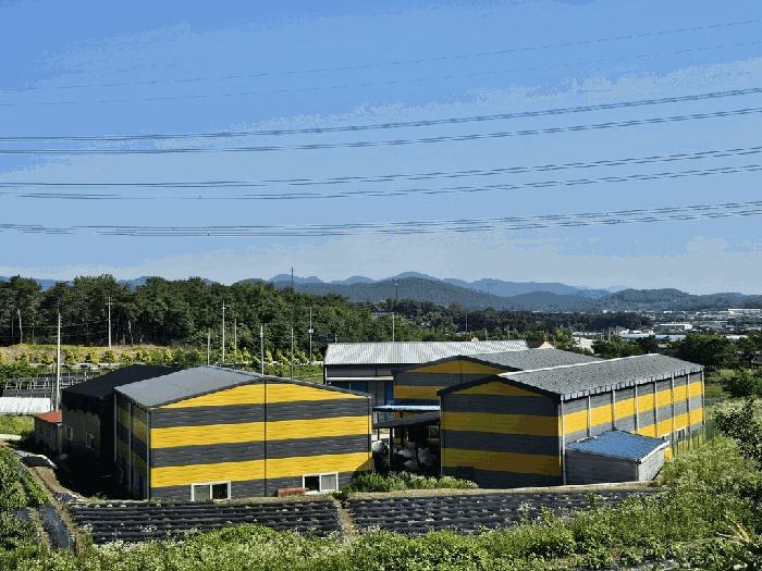 전라남도 장성군 동화면 남산리 59 공장 경매 사진 35
