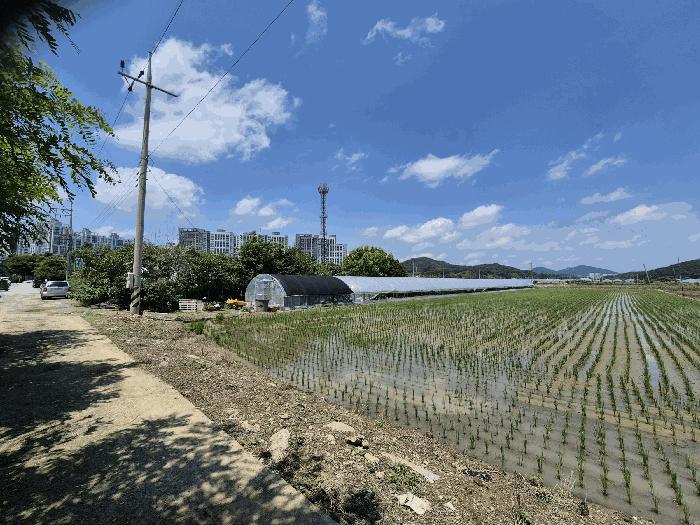 광주 남구 답