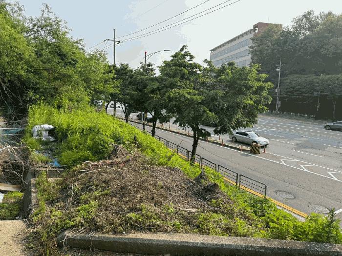 경기도 성남시 수정구 시흥동 281-1 답 경매 사진 2