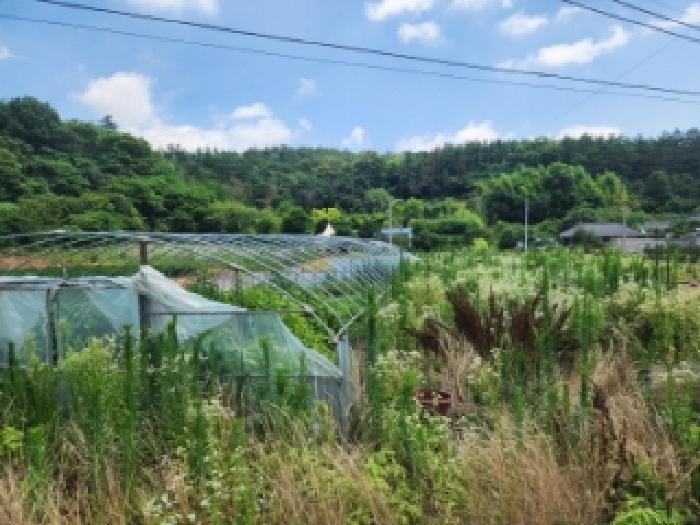전라남도 나주시 동강면 곡천리 1291-2 주택 경매 사진 1