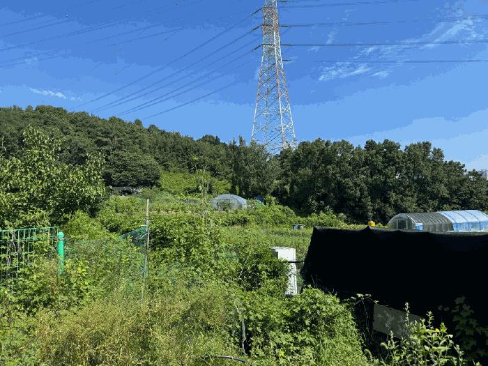 경기도 성남시 분당구 금곡동 492 전 경매 사진 1