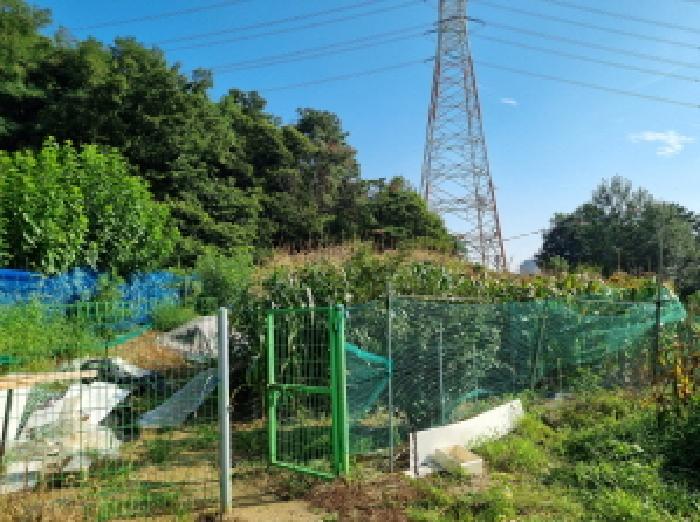 경기도 성남시 분당구 금곡동 492 전 경매 사진 12