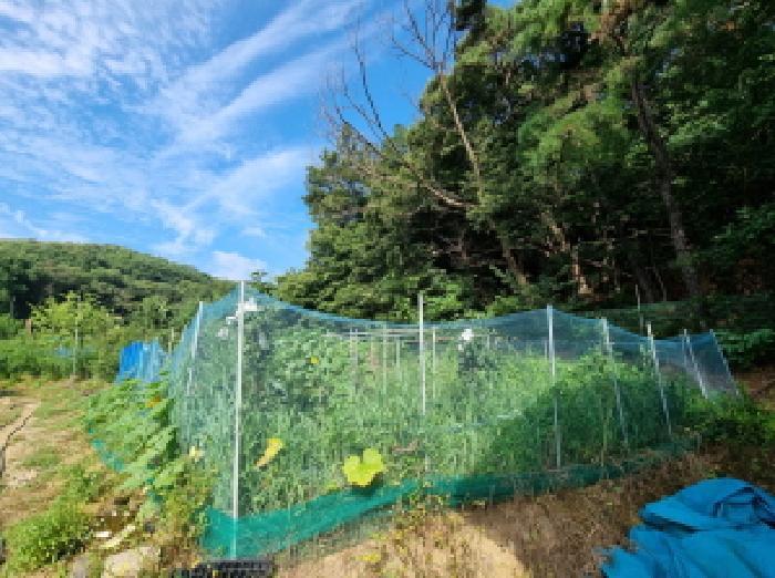 경기도 성남시 분당구 금곡동 492 전 경매 사진 13