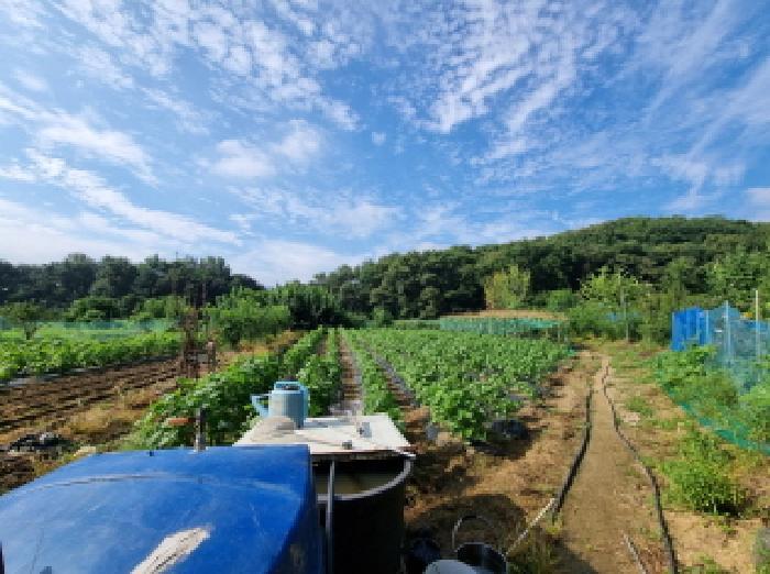 경기도 성남시 분당구 금곡동 492 전 경매 사진 14