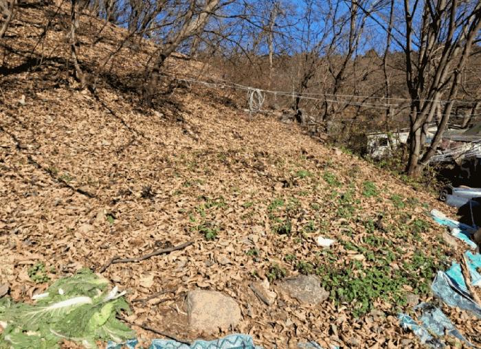 경기도 양주시 장흥면 석현리 산167 임야 경매 사진 10