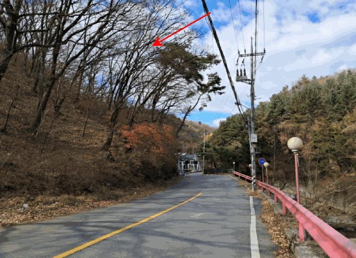 경기도 양주시 장흥면 석현리 산167 임야 경매 사진 13